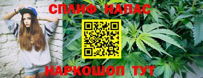 apvp Краснодар