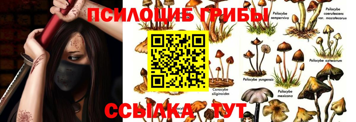 Псилоцибиновые грибы MAGIC MUSHROOMS  Псилоцибиновые грибы Psilocybine cubensis  где купить наркотик  Вход с VPN  Карпинск 
