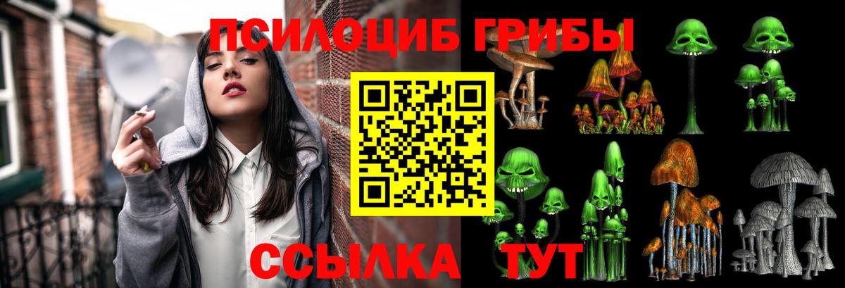 Псилоцибиновые грибы Psilocybe Карпинск
